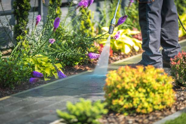 Best Pool Deck Cleaning  in Towson, MD